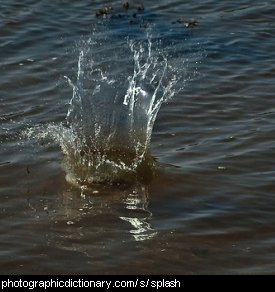 Photo of a splash in water