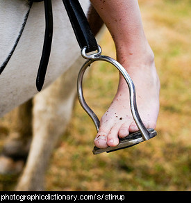 Photo of a stirrup