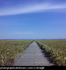 Photo of a long, straight road