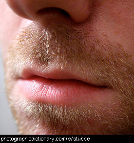 Photo of a man with stubble