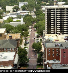 Photo of Tallahassee, Florida