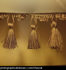 Photo of tassels