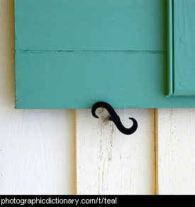 Photo of a teal shutter