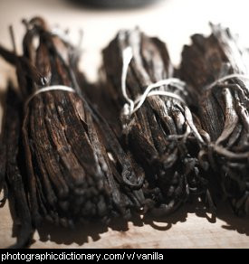 Photo of vanilla pods