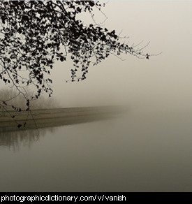 Photo of a scene vanishing into the mist