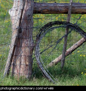 Photo of a roll of fencing wire