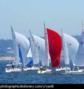 Photo of some yachts