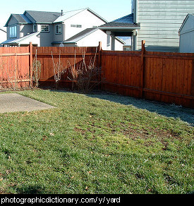 Photo of a yard