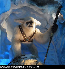 Photo of a yeti