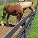 Photo of a fence