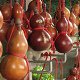 Photo of gourds