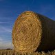 Photo of a hay bale