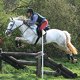 Photo of a horse jumping.